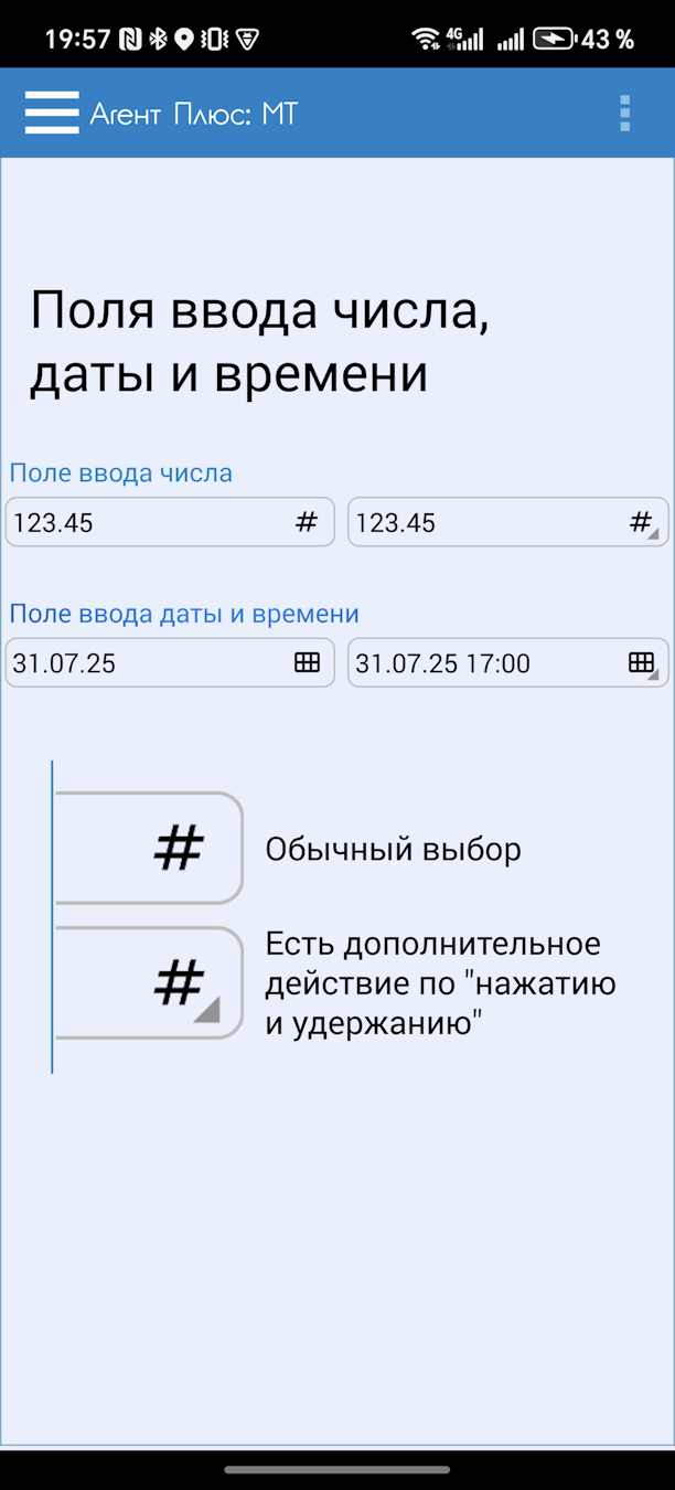 sm_Screen_p003_num_date_box